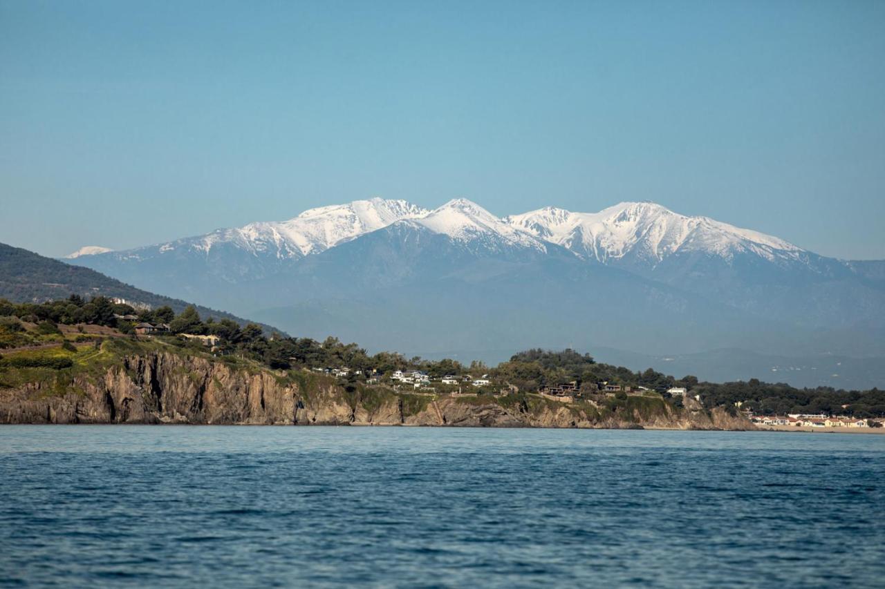 "Les Bambous" Studio Cosy Climatise Au Calme De 37 M2 Parking Gratuit A Argeles Sur Mer Exterior foto